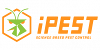 iPest Solutions Logo
